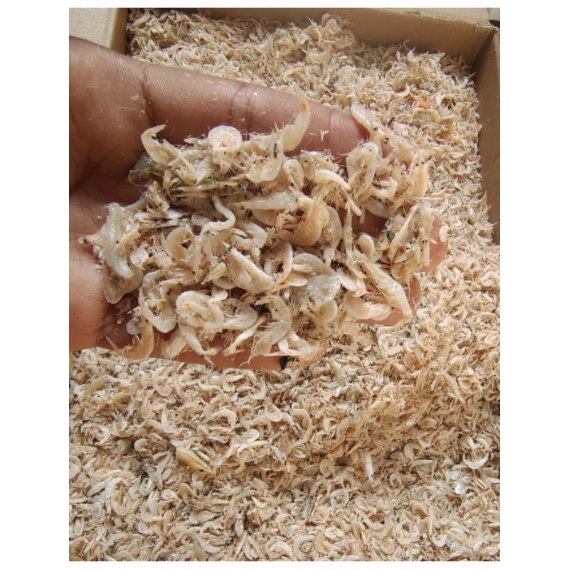 

UDANG REBON KERING SUPER KUALITAS TERBAIK