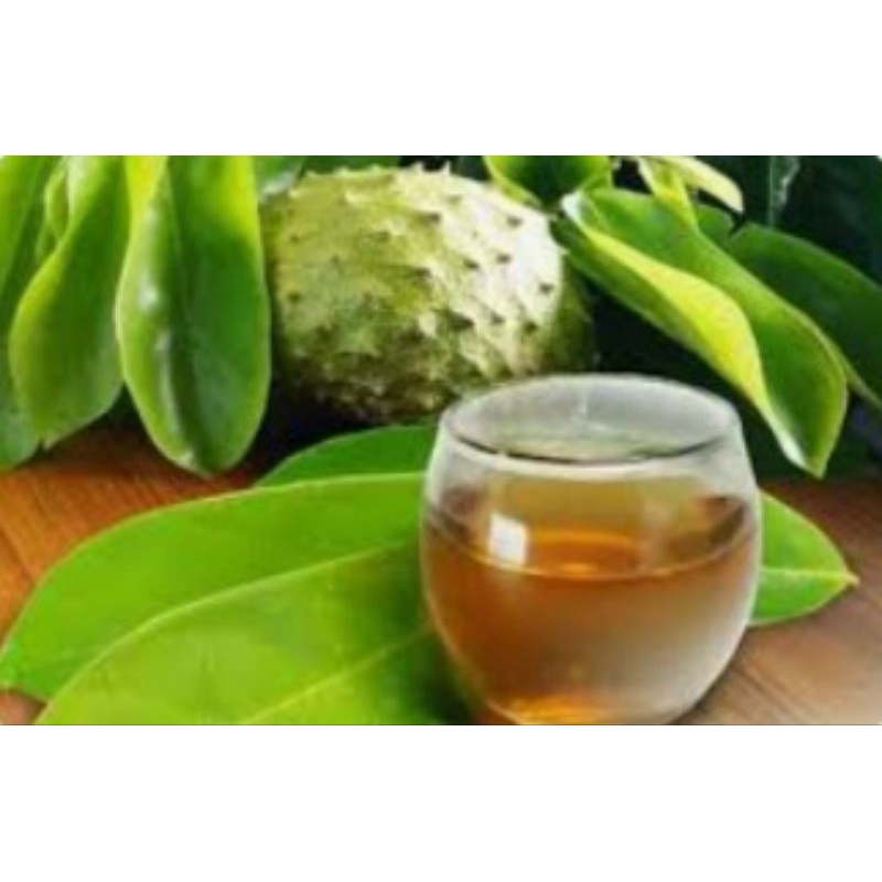 

DAUN SIRSAK HERBAL SEGAR .1 IKET ISI(100 lembar) HERBAL bagus dan manfaat untuk kesehatan