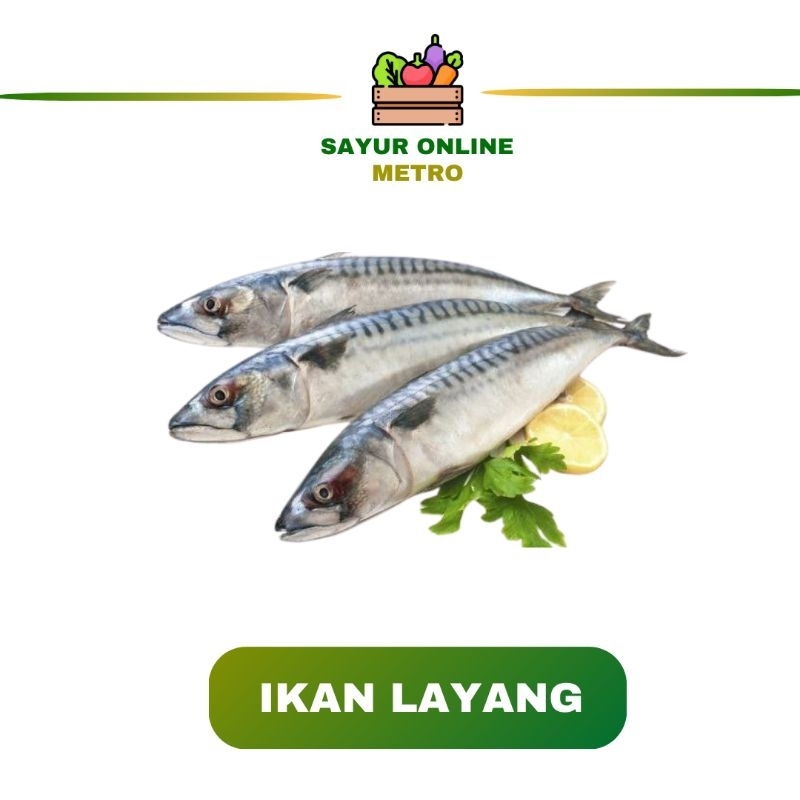 

Ikan Layang / Segar / Fres / 500gr - Sayur Online Metro