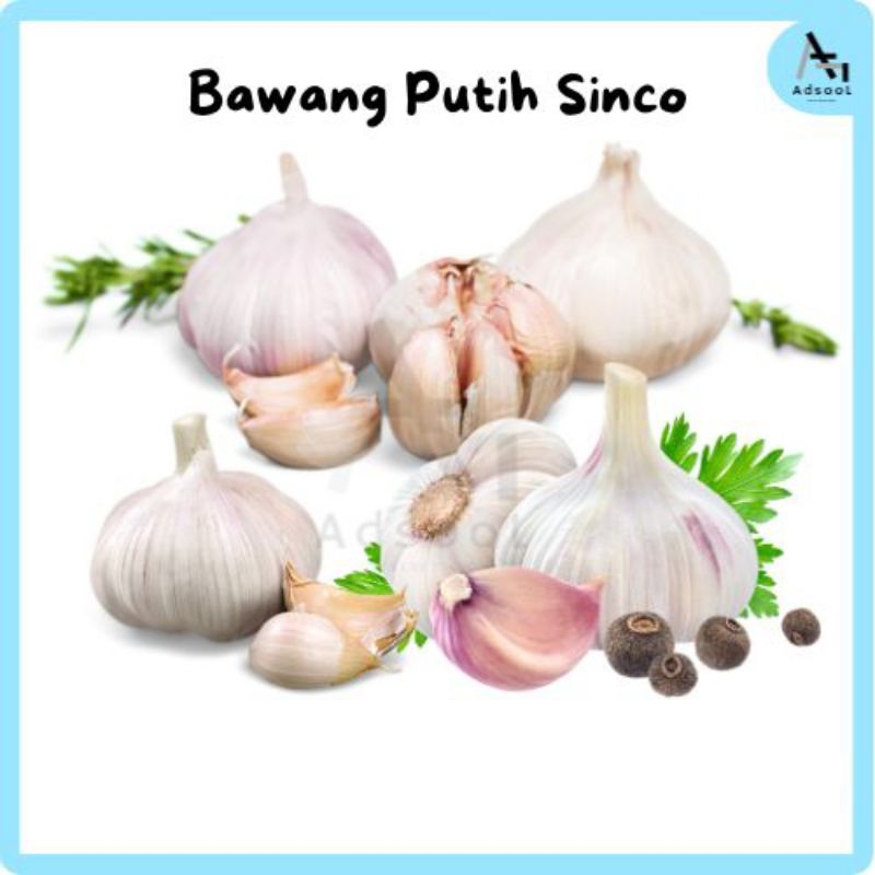

Bawang Putih Sinco Kering 1 KG Termurah