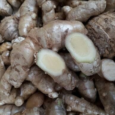 

temu putih segar 1kg