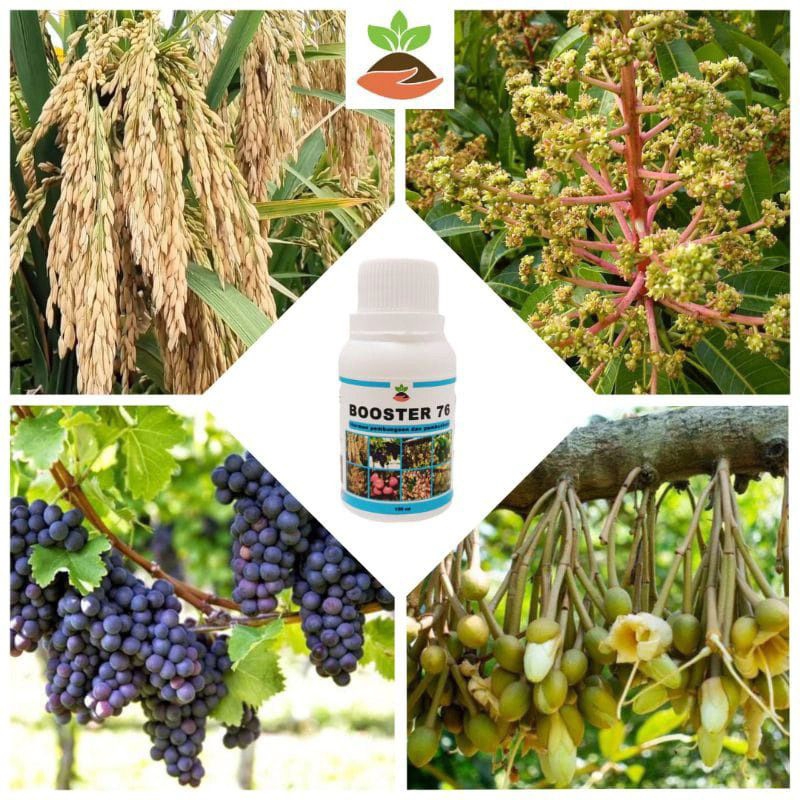 [ORIGINAL] Booster 76 Hormon Pembuahan & Pembungaan