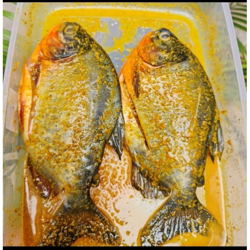 

ikan bawal bumbu kuning 500grm