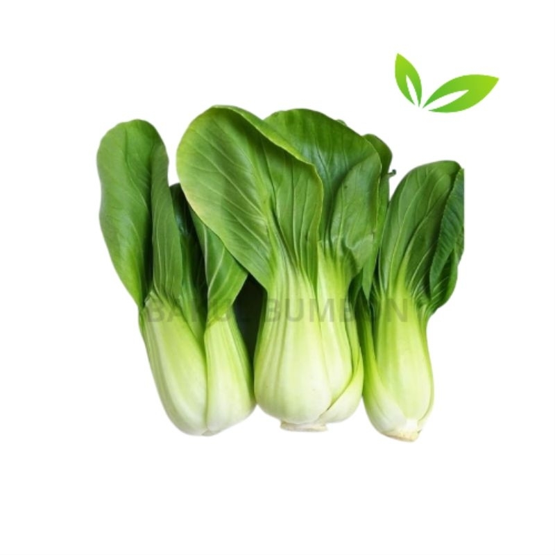 

sayur pakcoy segar 250gr