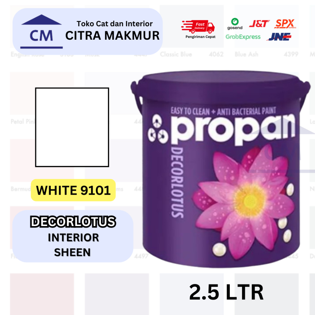Propan Decorlotus WHITE 9101 - 2.5 Ltr | Propan DECORLOTUS DLI-480