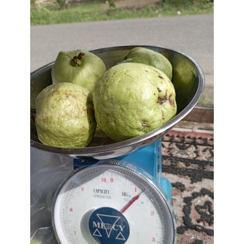 

Jambu kristal