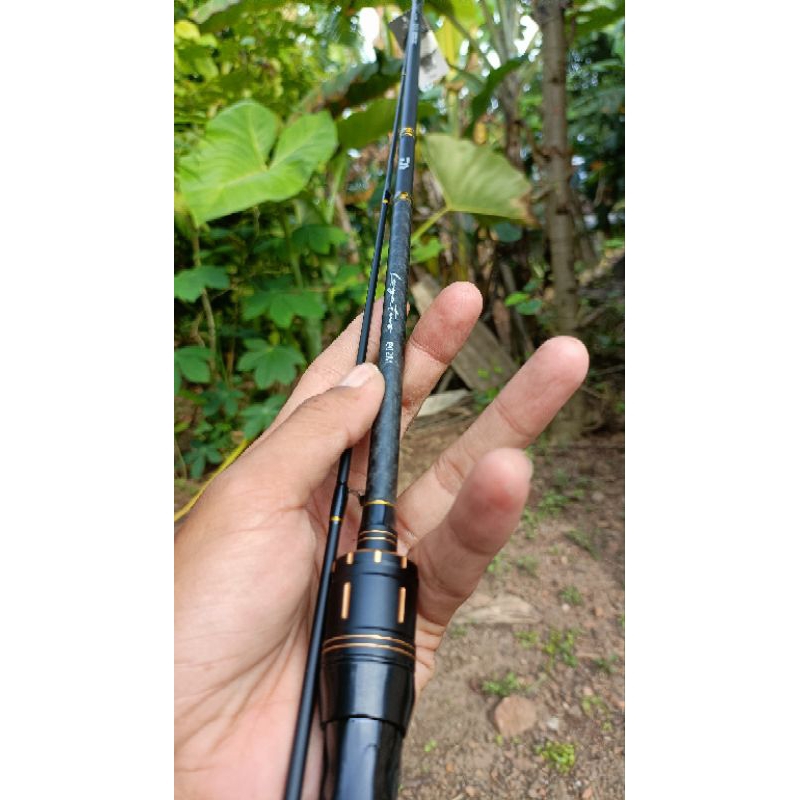 Custom Joran DAIWA LEGATUS 183cm
