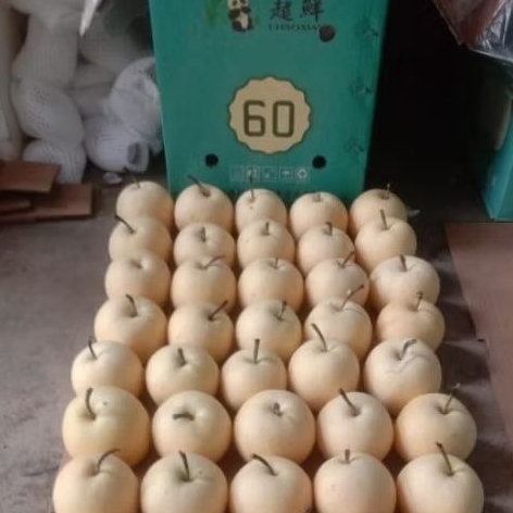 

pir century fresh 1 kg