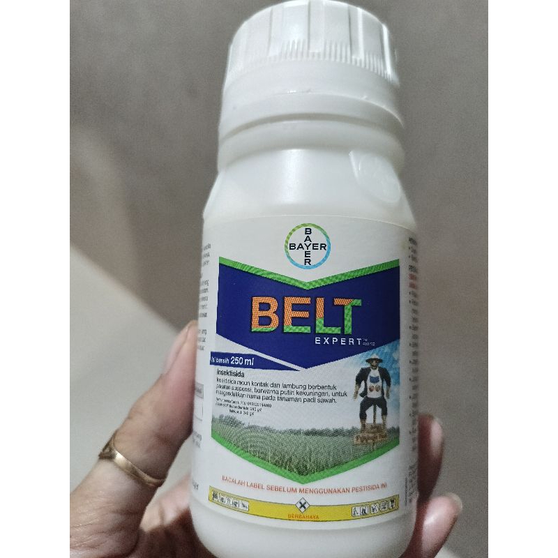 BELT expert 480SC insektisida 250ml.