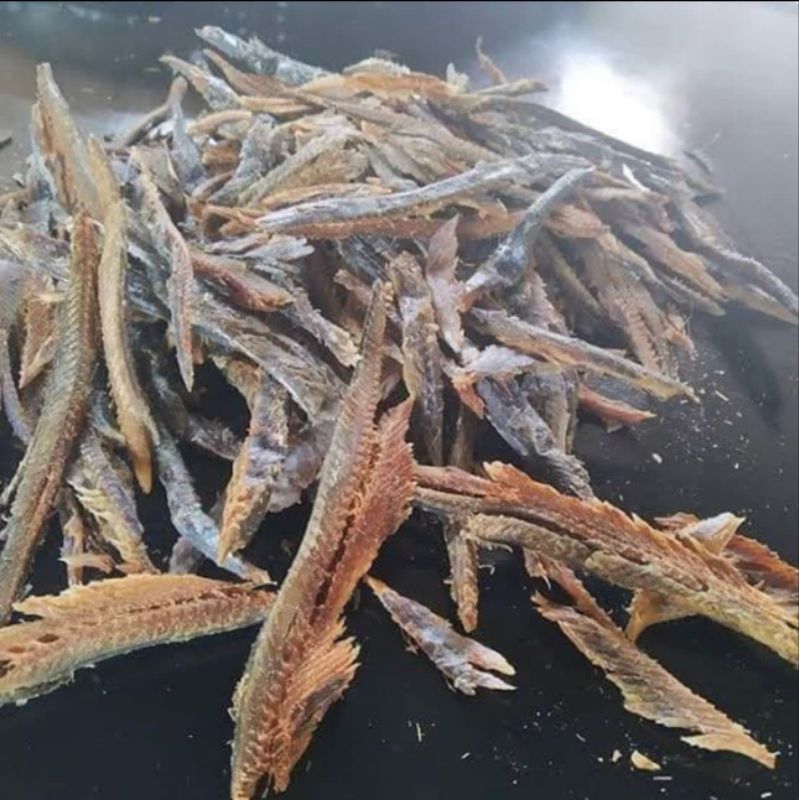 

Ikan Roa Kupas punggung 1000 gram/1kg