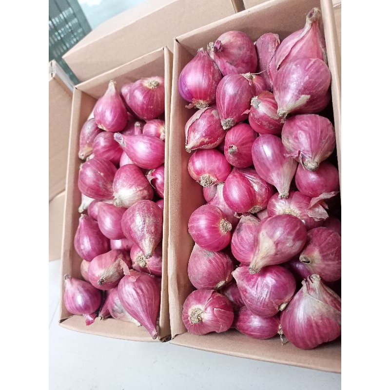 

BAWANG MERAH BREBES JUMBO / FULL BESAR KERING 1KG