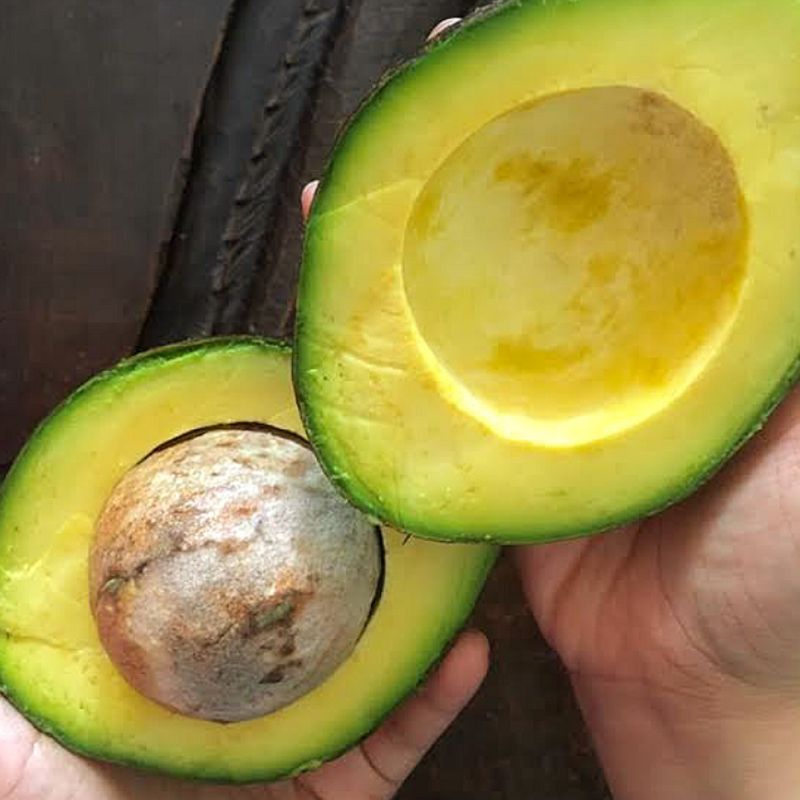 

ALPUKAT MENTEGA PREMIUM 1 KG FRESH