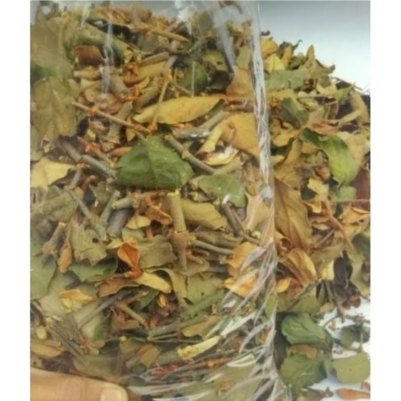 

Benalu kering herbal murah berkualitas 500 gram