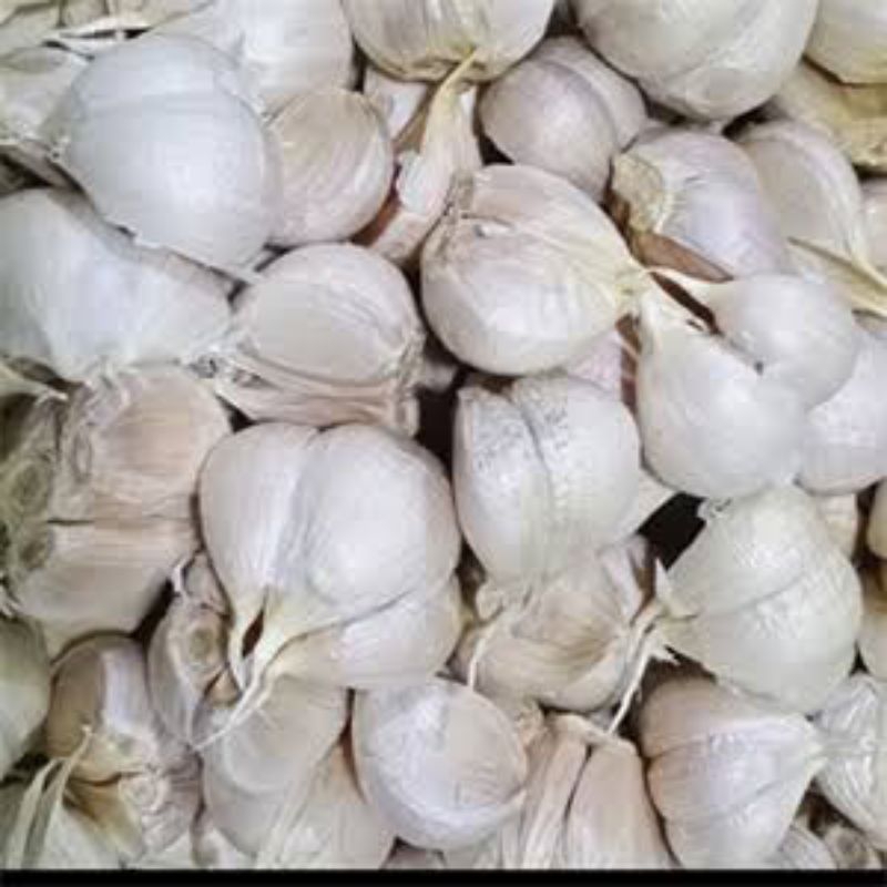 

bawang putih kating pecah berat 1kg