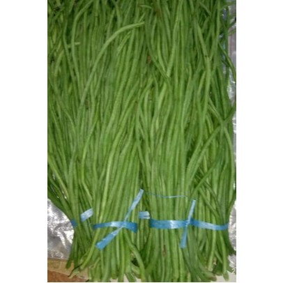 

Kacang Panjang/ Long Beans 500gr