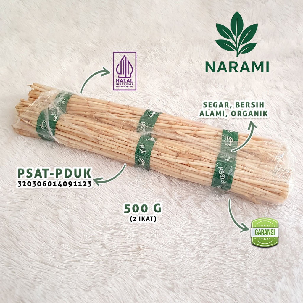 

Akar AlangAlang Segar 500g