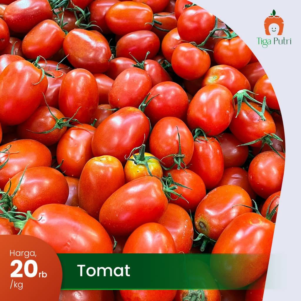 

Tomat Fresh & , Sehat 1 kg