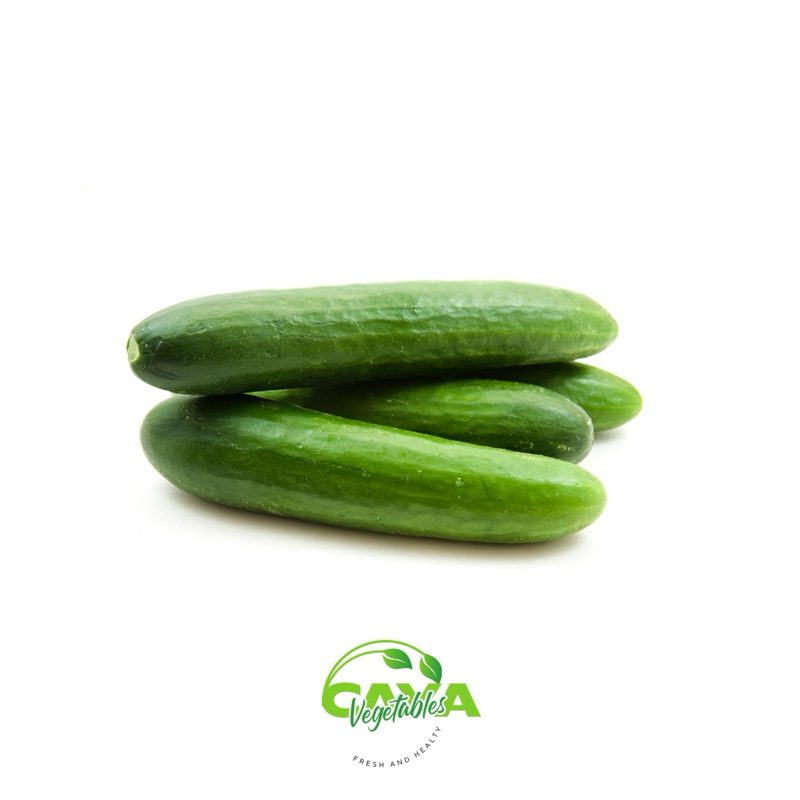

KIRIM INSTAN Timun Segar Lokal 500g