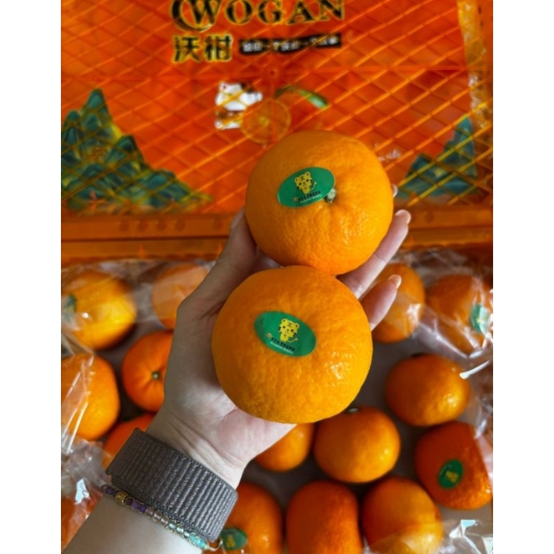 

Jeruk Wogam 1 keranjang 6 kg