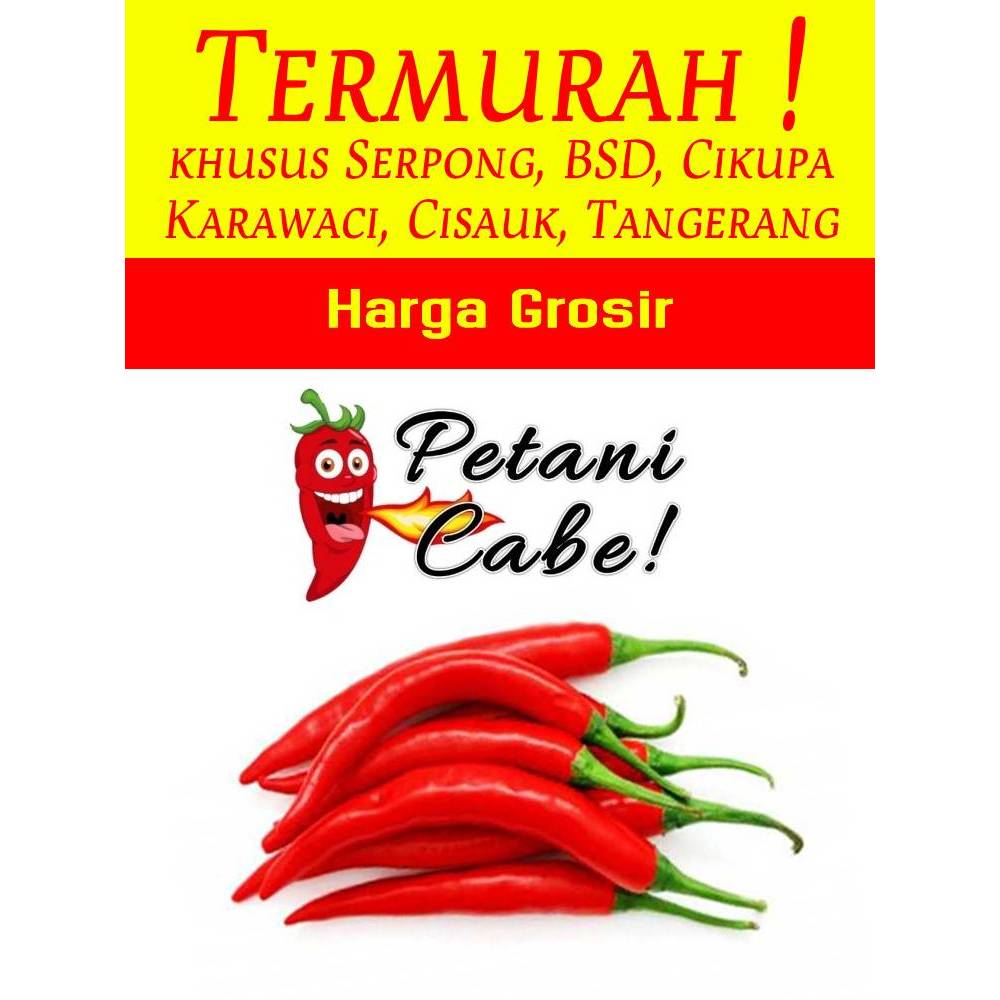 

Cabe / Cabai Merah Besar TW 1 kg Harga Grosir (Petani Cabe Serpong)