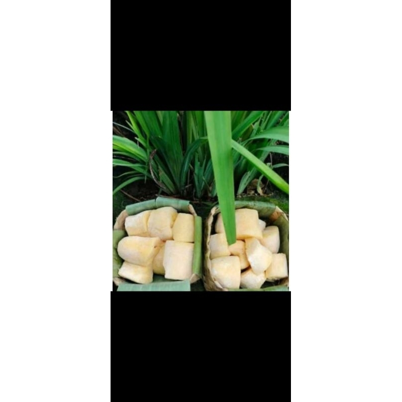 

Tape singkong mentega manis bikin ketagihan 3 kg