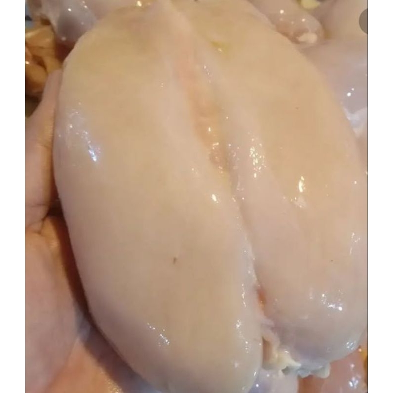 

Fiilet Dada Ayam