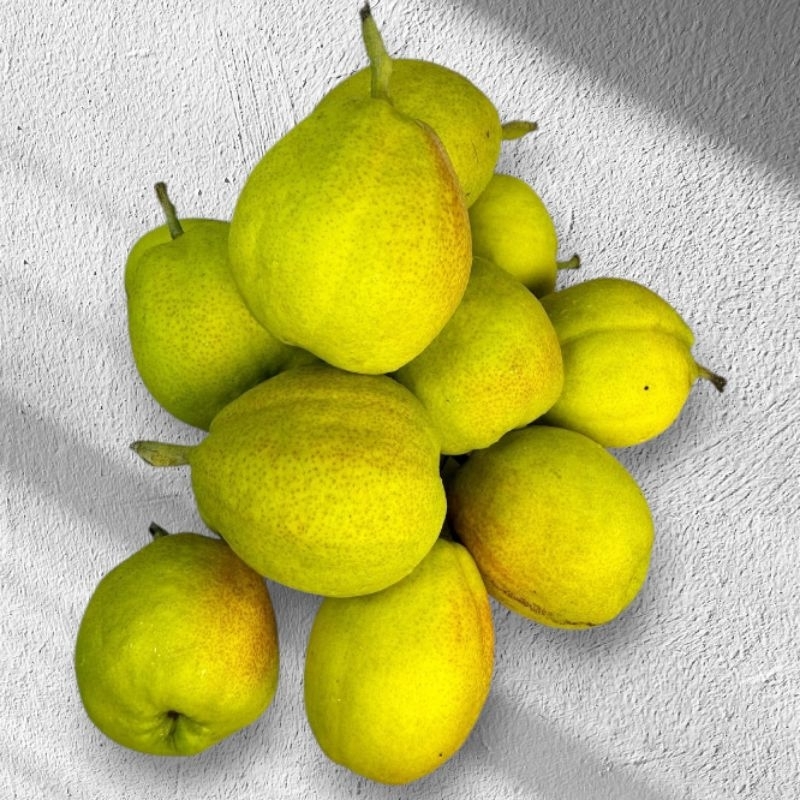 

PEAR XIANG LIE SUPER