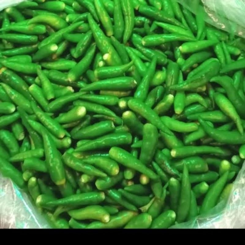 

cabe rawit hijau caplak petik fresh termurah 250 gr 500 gr 1 kg