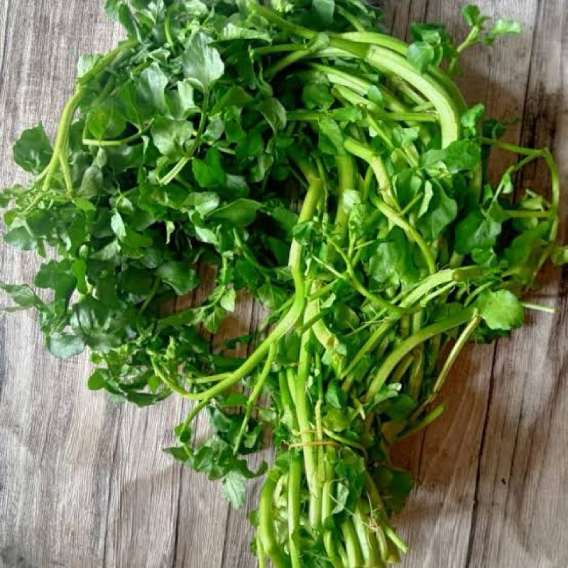 

SELADA AIR / JUKUT / GORENG REBUS ± 200 GR