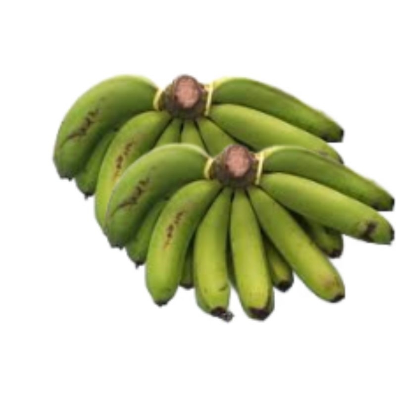 

Pisang Ambon Lumut