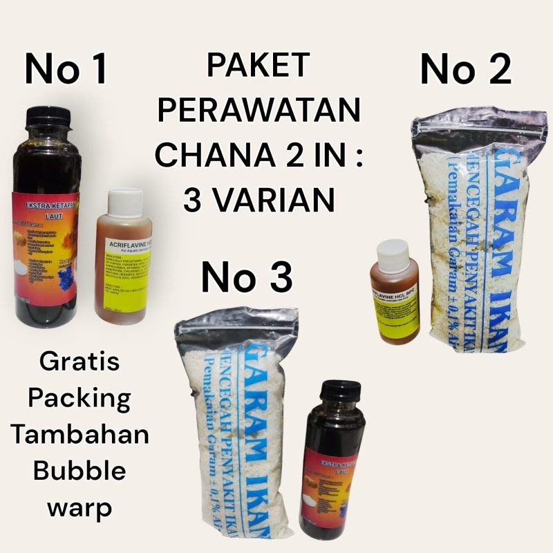 Perawatan chana 2in / perawatan ikan chana / perawatan ikan chana lengkap / perawatan chana / perawa