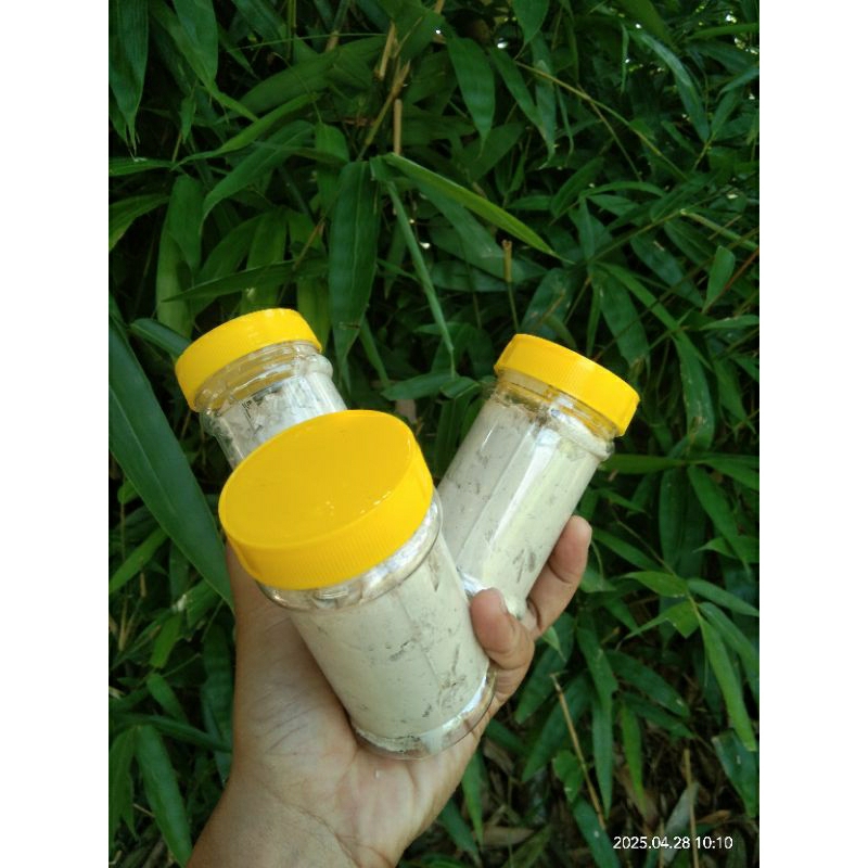 COD / UMPAN KUCUR 100 GRAM / UMPAN KUCUR SPECIAL IKAN BAUNG / UMPAN MANCING LIAR IKAN BAUNG, PATIN &