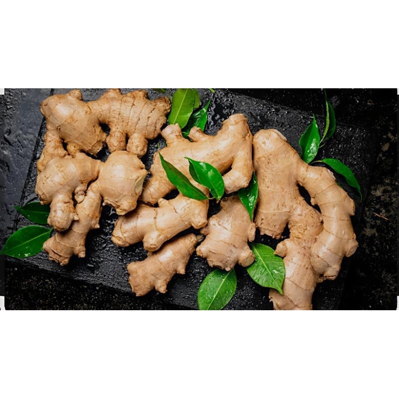 

JAHE EMPRIT SUPER PREMIUM CUCI BERSIH 500GRAM