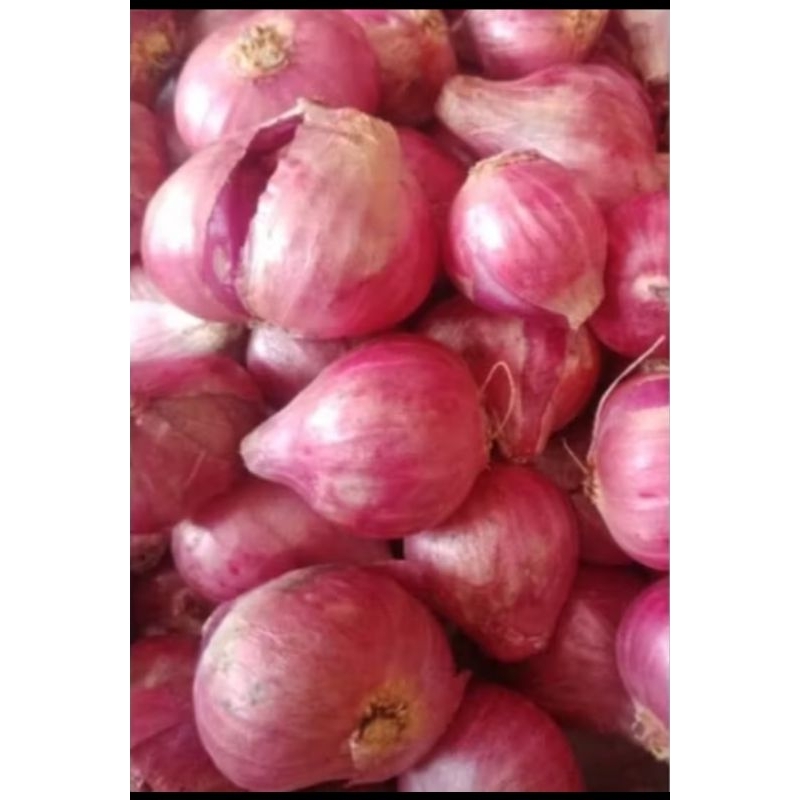 

Bawang Merah alias Brambang 200 gram