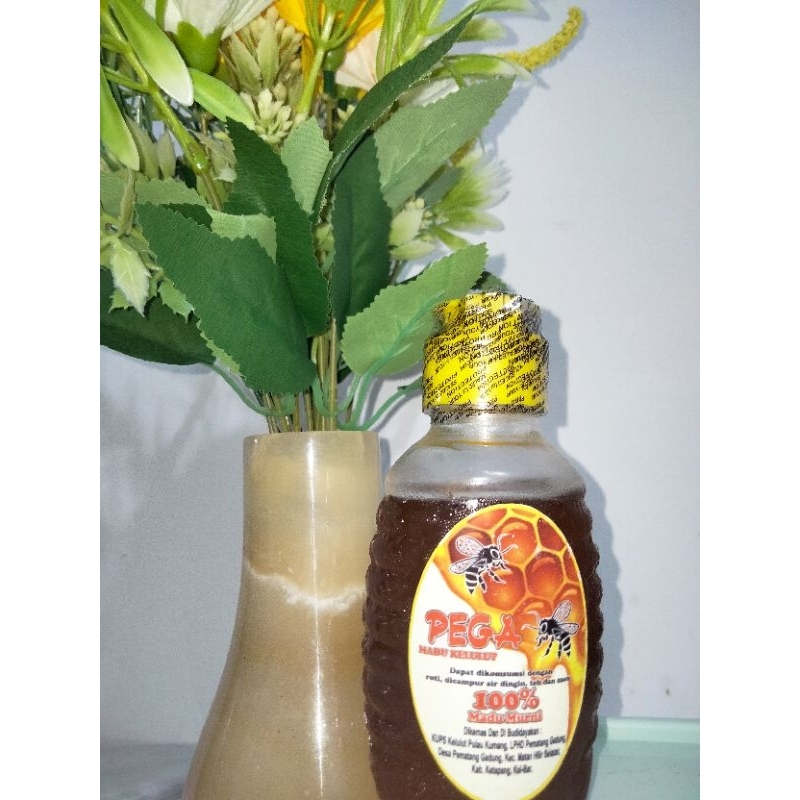 

MADU KELULUT KHAS KETAPANG ( MADU PEGA)
