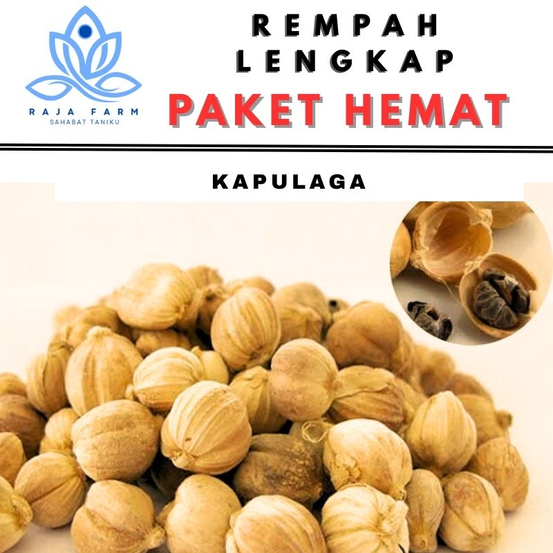

kapulaga Putih Kering Rempah Rempah Bumbu Dapur Paket Hemat