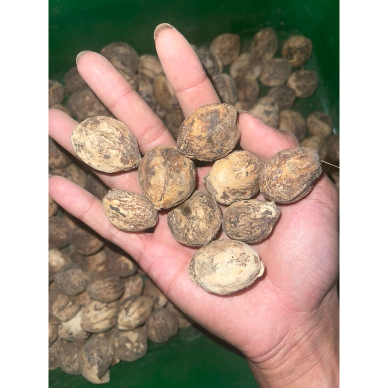 

kemiri gelondong bumbu 1kg