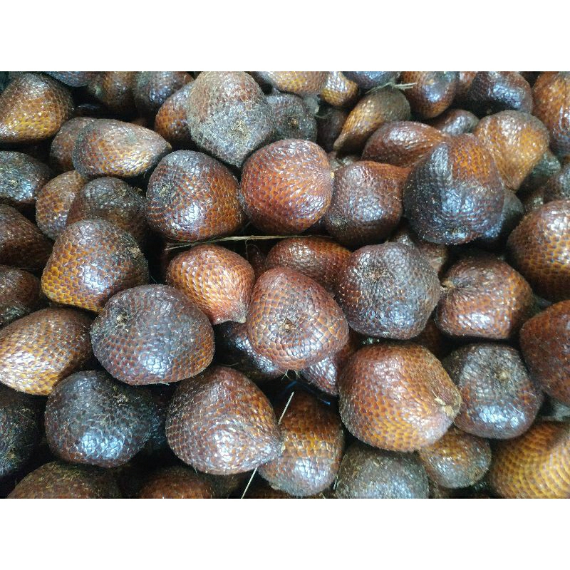 

Salak Pondoh Segar 1 kg – Manis, Renyah, dan Harum Alami