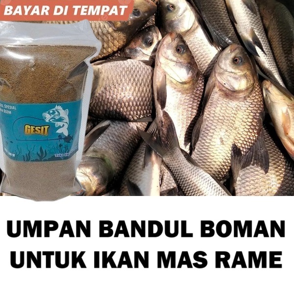 UMPAN BANDUL BOMAN UNTUK MANCING IKAN MAS RAME DAN BABON SIAP PAKAI