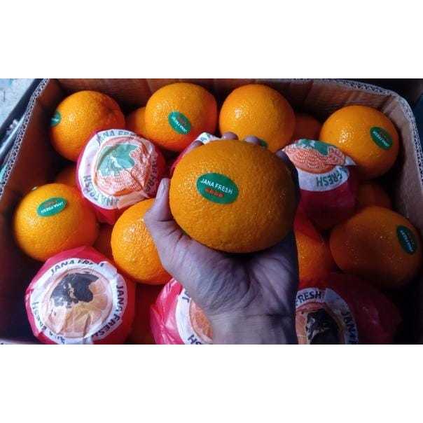 

Jeruk Sunkist Valencia Mesir