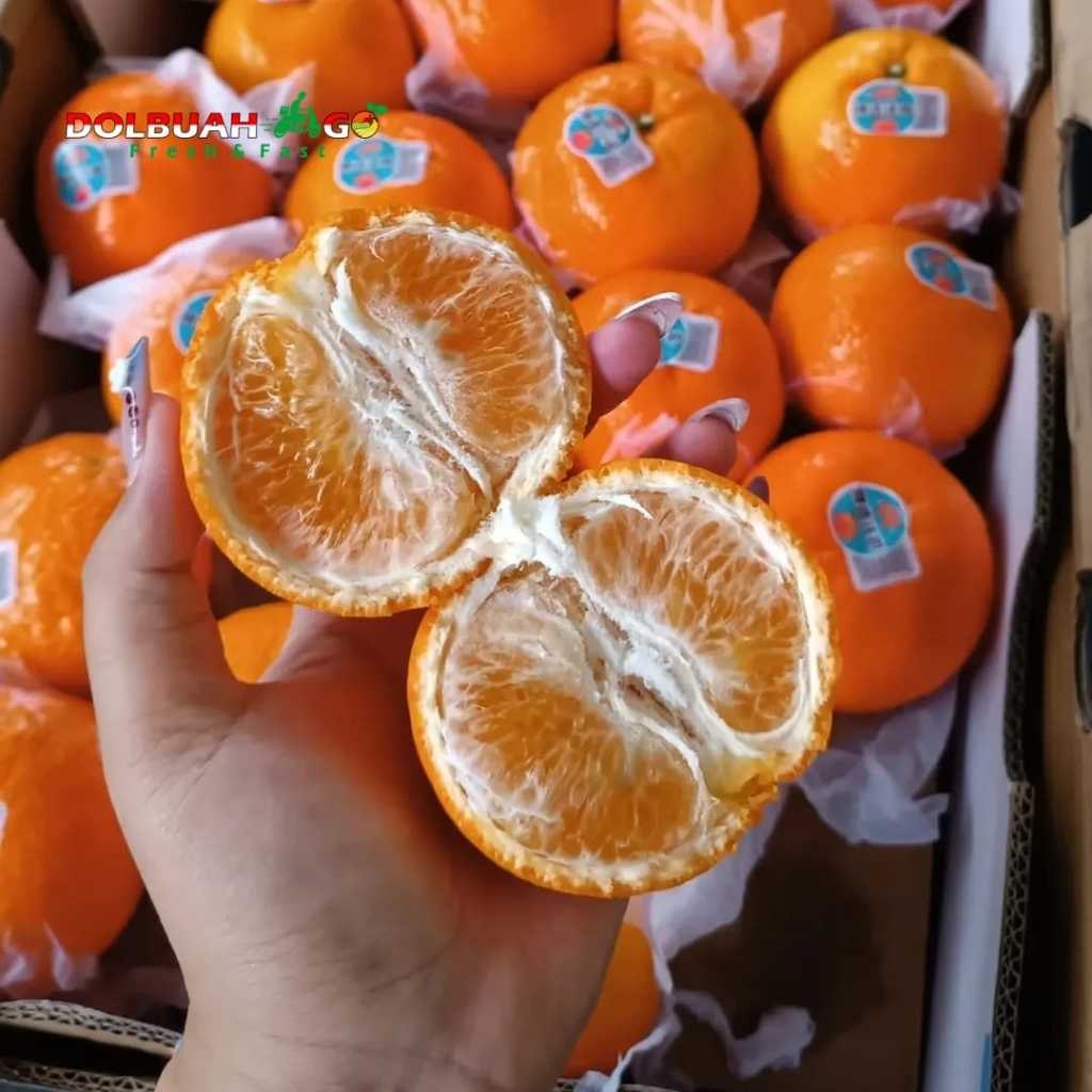 

Jeruk Wogan/Wokam Mandarin Manis Segar Fresh Premium - INSTAN SEMARANG - Dolbuah