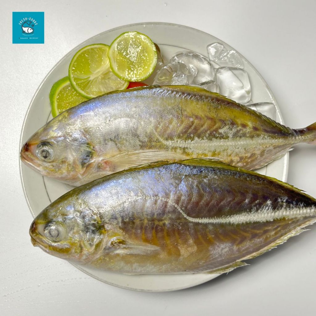 

Ikan Selar Kuning / Ikan Selar Como / Kembung Como DIJAMIN SEGAR DAN BERKUALITAS By FreshGoods