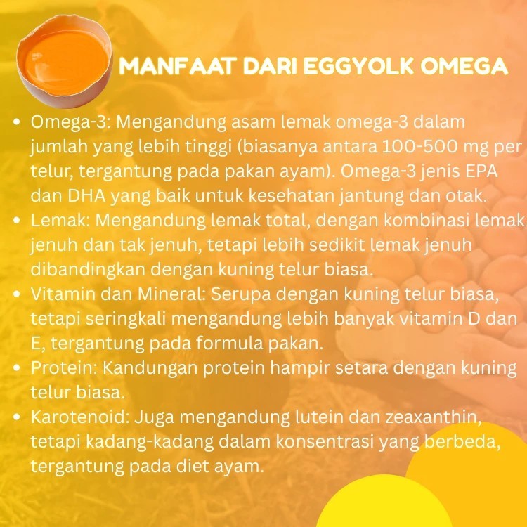 

IO Telur Ayam Negri OMEGA New & Fresh (KG)