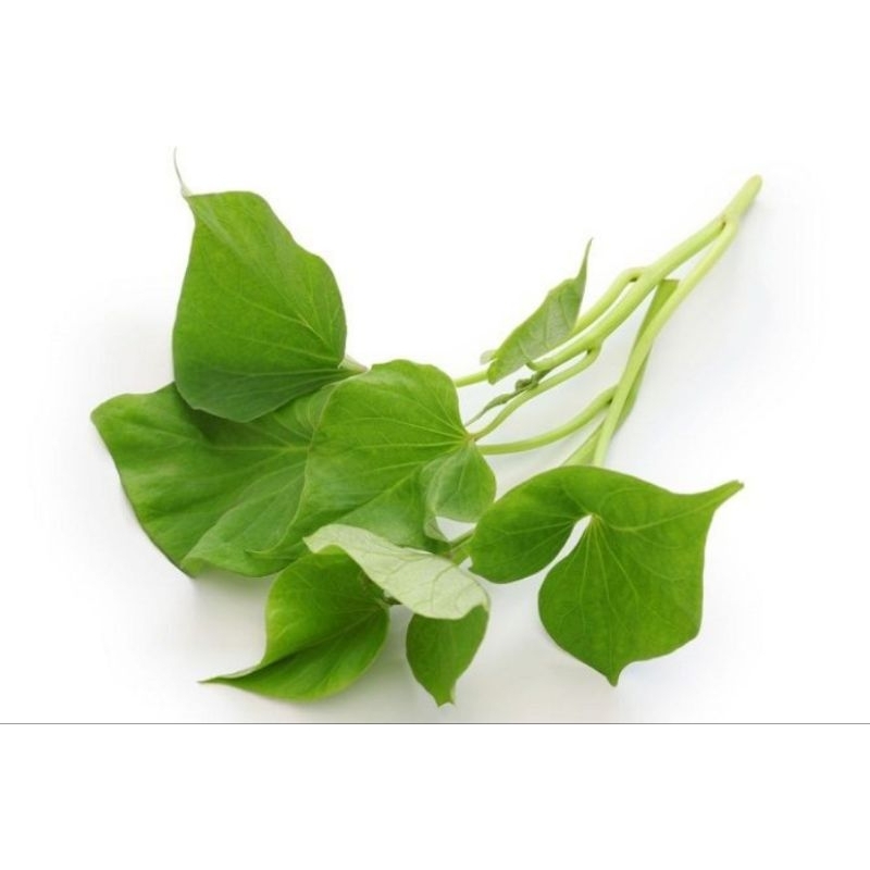 

daun pucuk ubi Jalar segar 500gram