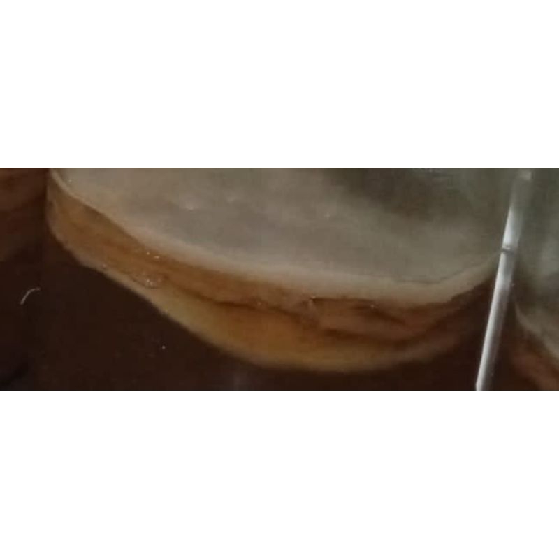 

SCOBY