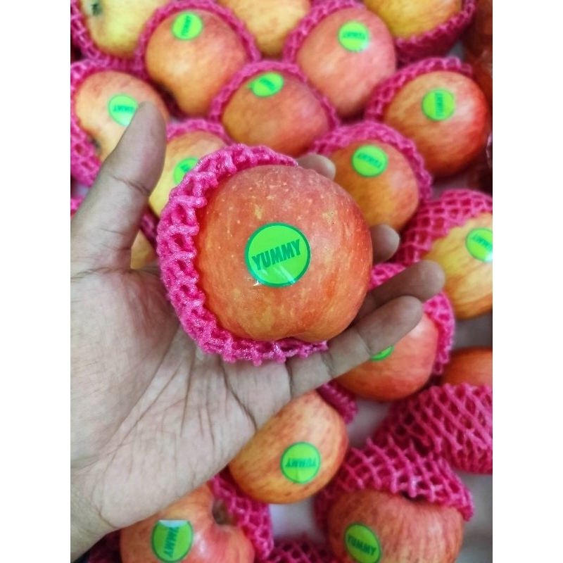 

Apel Fuji Segar dan Berkualitas Termurah Terbaik 1Kg Cibinong