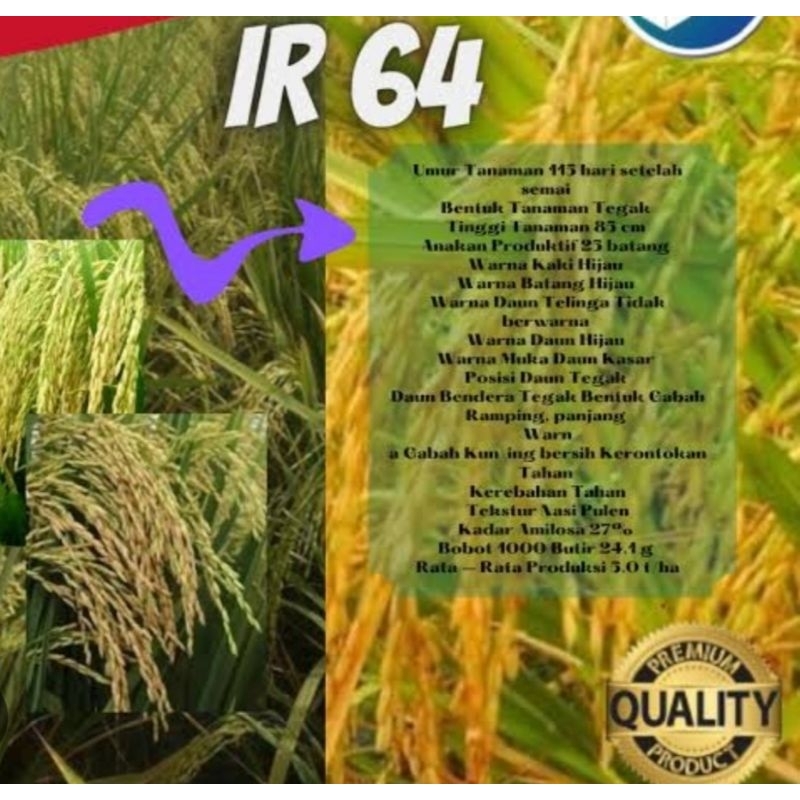 BENIH BIBIT PADI IR 64 PER 1KG