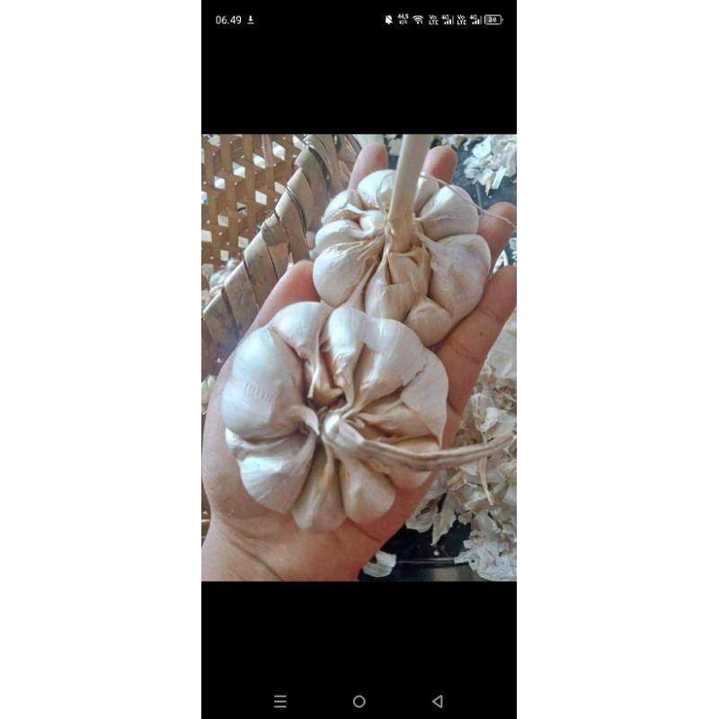 

BAWANG PUTIH SINCO/ biasa 500g