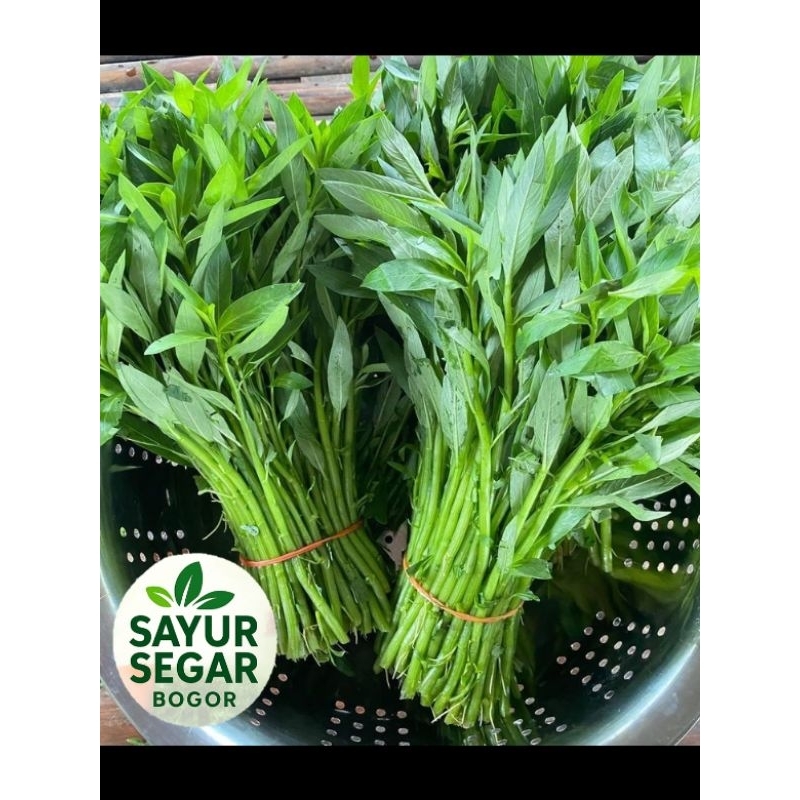 

Kangkung Segar Per ikat