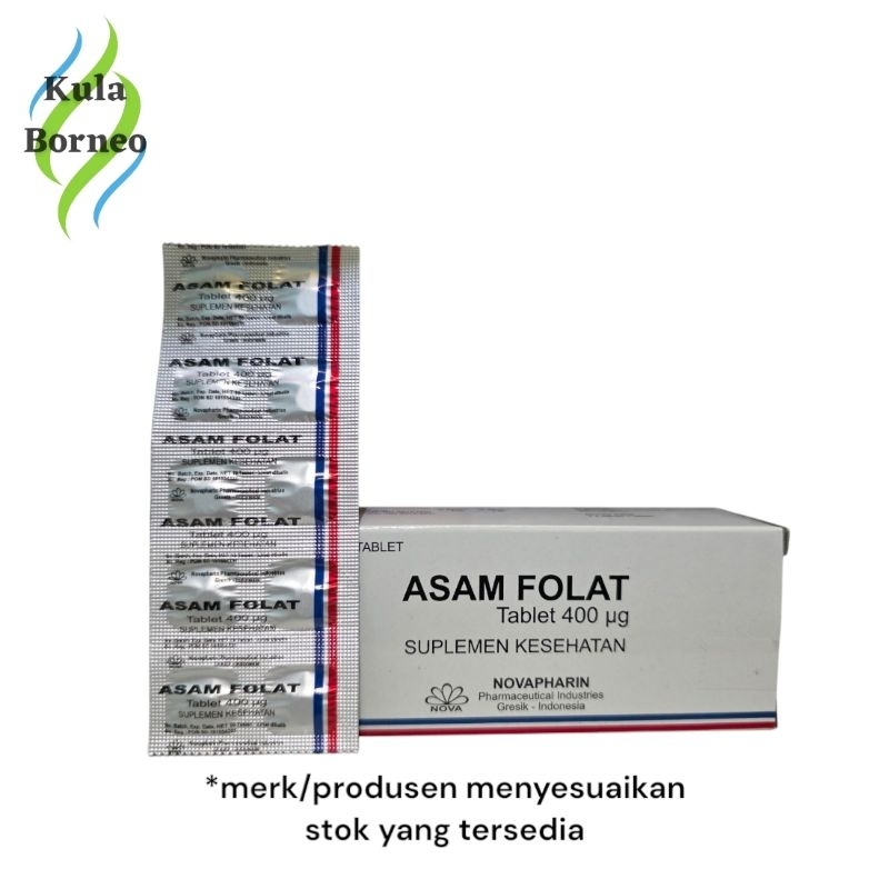 ASAM FOLAT 10 TABLET (MERK RANDOM)